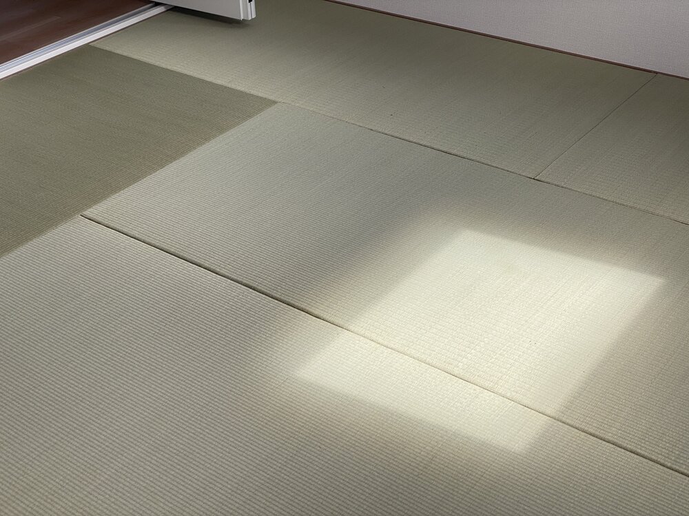 https://tatami-ya.net/entry-image/IMG_6449.jpeg