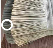 綺麗な退色の見分け方