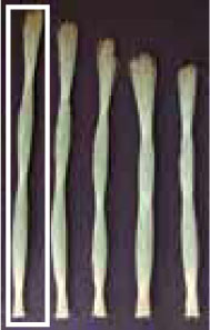 推奨品(優)草の長さ